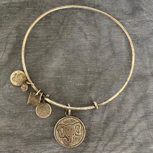 Alex and Ani bracelet